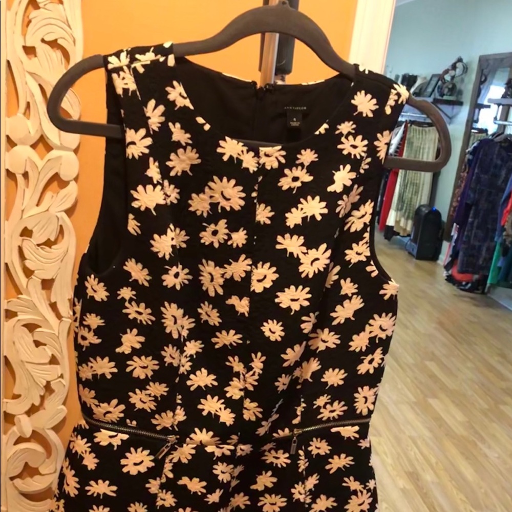 ANN Taylor